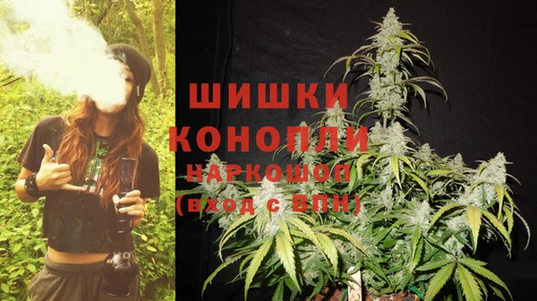 a pvp Зеленокумск