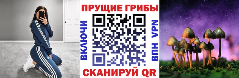 Галлюциногенные грибы ЛСД  наркошоп  мега зеркало  Калачинск 
